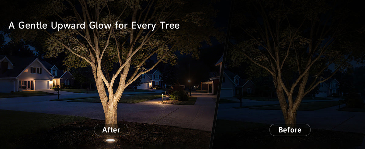 Gardenreet Low Voltage 12V LED In-ground Well Lights (Grated Top 9202) - Application Desktop 2